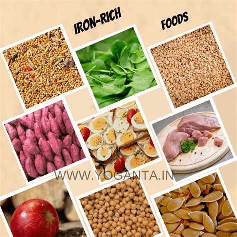 Top Iron Rich Foods That Are Great Sources Of Iron Yoganta Blog