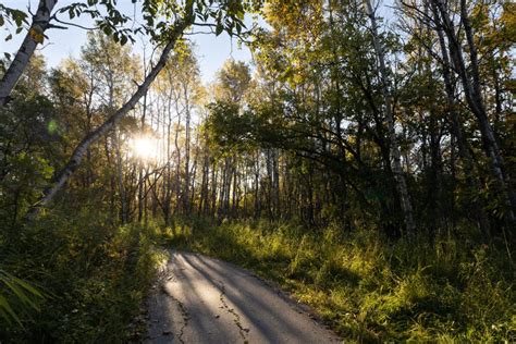 5 Reasons Why Assiniboine Forest Should Become A National Urban Park