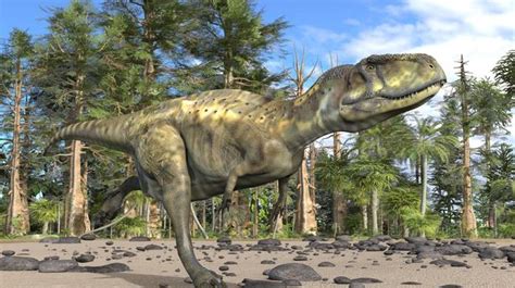 Descubren Una Nueva Especie De Dinosaurio Carnívoro Que Habitó En La