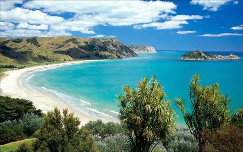 10 Top Desktop Background New Zealand You Can Download It At No Cost