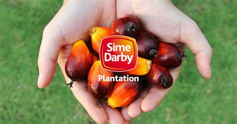 It has personal stakes and cosy associations with the malaysian government. Sime Darby Plantation