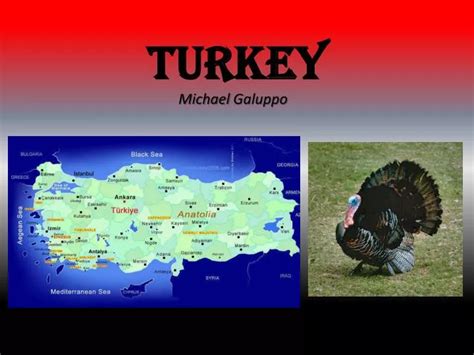 Ppt Turkey Powerpoint Presentation Free Download Id2278631