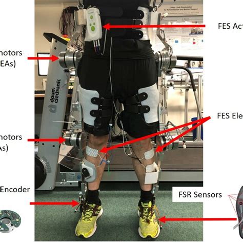 Lower Limb Hybrid Fes Exoskeleton With Fsr Sensor And Two Channels Download Scientific Diagram