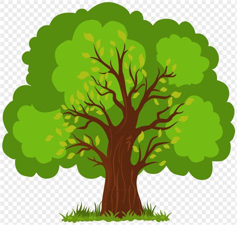 Cartoon Big Tree Png Imagepicture Free Download 400762024