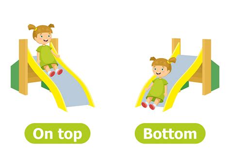 Top Bottom And Middle Concept For Preschoolers