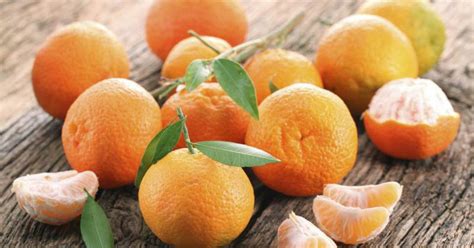 Tangerine - Big Proportion of Health in Small Package | Best Herbal Health