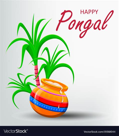 Happy Pongal Greeting Card On White Background Vector Image