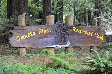 Gualala River Redwood Park Outdoor Project Campgrounds Campsites