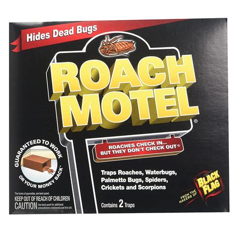 The Best Roach Killer Options For The Home Buyers Guide Bob Vila