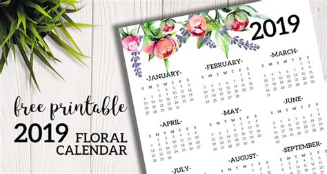 Free Printable 2019 Calendar Yearly One Page Floral Paper Trail Design