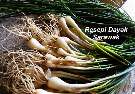 Bawang putih juga memiliki bau yang mudah tertinggal dan menempel, baik di tangan atau penasaran apa saja manfaat bawang putih untuk pria dan bagaimana cara menggunakannya? Resepi Sarawak: RESEPI ULAMAN DAUN KUCHAI