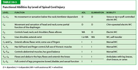 Spinal Cord Injury Levels And Function Chart