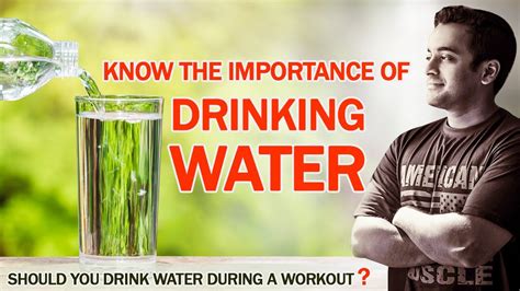 Know The Importance Of Drinking Water Should You Drink Water During A
