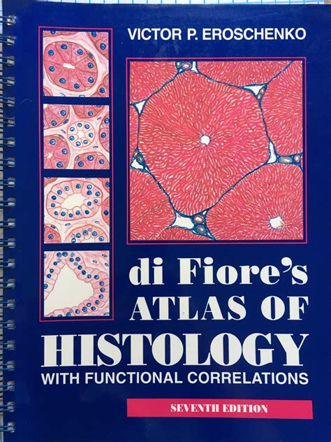 Di Fiores Atlas Of Histology With Functional Correlations Ортограф