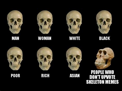 Skeleton Meme Rmemes