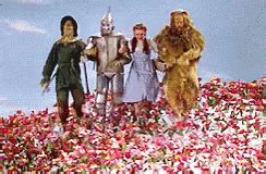 The red poppy put dorothy to sleep in the wizard of oz and the wiz the updated version. Mago Oz GIFs | Tenor