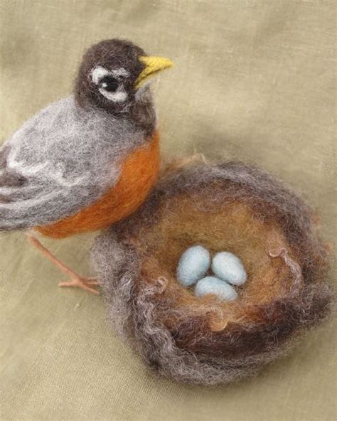 Robins Nests And Eggs On Pinterest