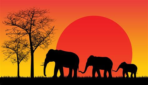 Elephant Shadow Isolated Africa Forest Sunset Safari 3553319 Vector Art