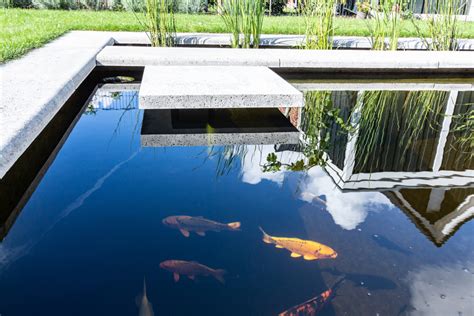 Beratung garten schwiening bocholt gartengestaltung und planung. KOI-BECKEN - Innovatio GmbH Garten- und Landschaftsbau Bocholt