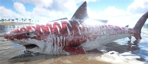 10 Most Dangerous Ocean Creatures In The World Ocean Creatures Shark
