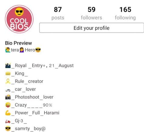 200 Best Stylish Insta Bio For Boys To Get More Follower