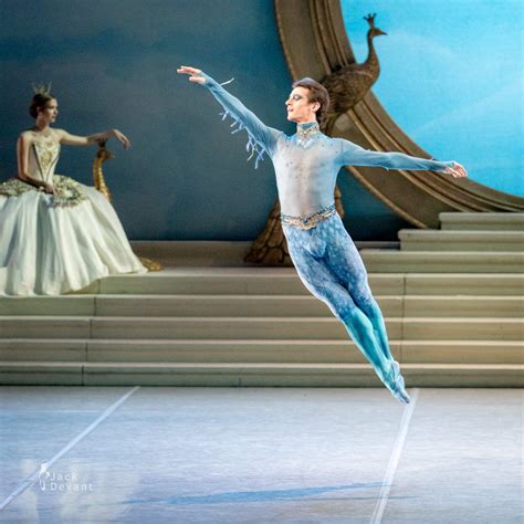 The Sleeping Beauty Ivan Zaytsev As The Bluebird 1 Enchanted Princess