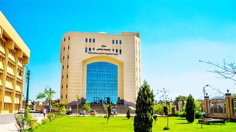 كلية علوم الكمبيوتر التعليم عن بعد. إنشاء كلية الذكاء الاصطناعي بجامعة كفر الشيخ