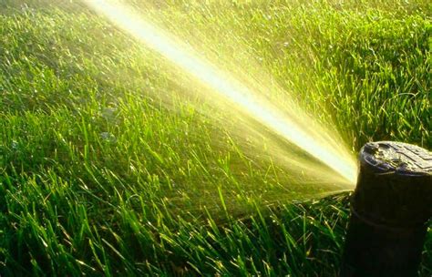 Tips For Watering Your Lawn