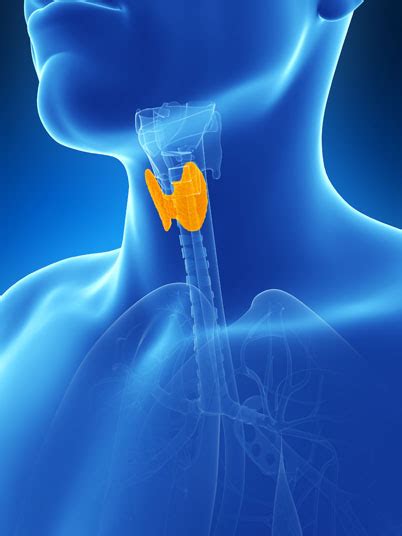 Laparoscopic Thyroid Lobectomy Orange County Surgeons