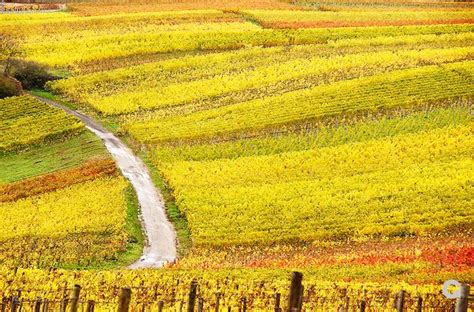 Drei menschen sind tot, weitere zum teil schwer verletzt: Weinberge bei Würzburg