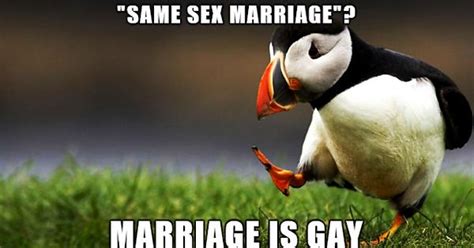 Gay Vs Same Sex Imgur