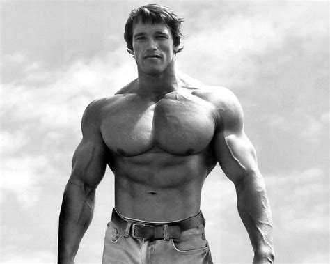 Insane arnold schwarzenegger bodybuilding pictures. Sfondi : monocromo, modello, Arnold Schwarzenegger ...