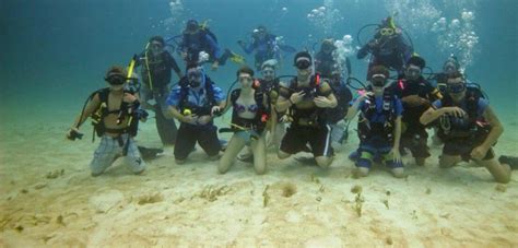 Top Five Colleges For A Field On The Rise Marine Biology