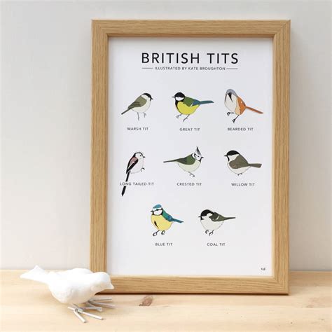 British Tits Print By Kate Broughton