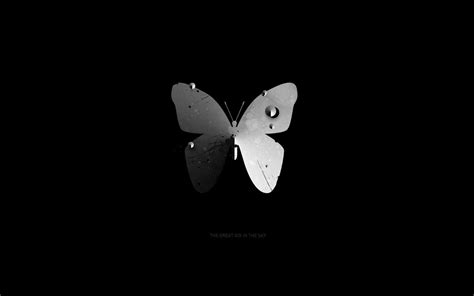 View Butterfly Wallpaper Black And White Background Hd Interior Image
