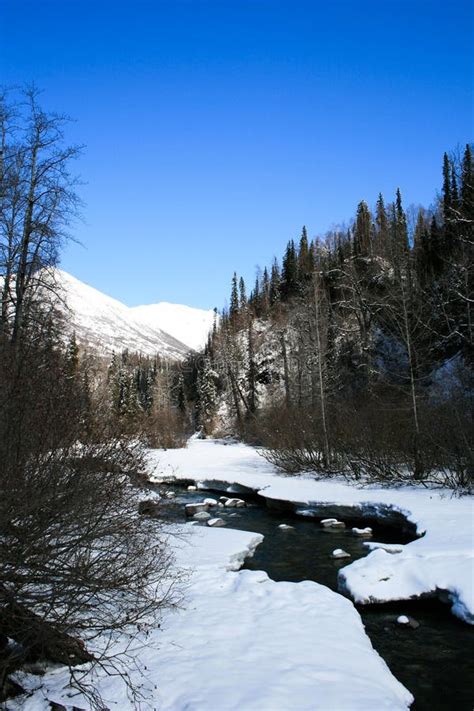 A Creek In Anchorage Alaska Stock Image Image Of Sunny Scenery