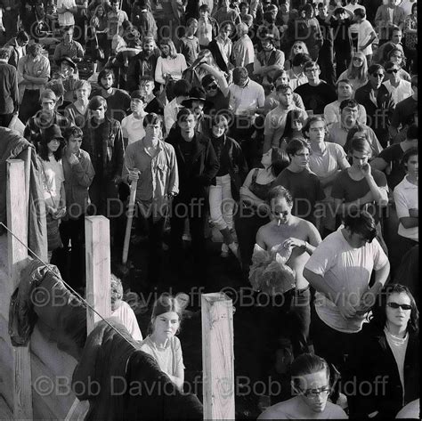 The palm beach international film festival is a film festival in the united states held in palm beach, florida which showcases over 120 films annually in april for over 20,000 attendees. Classic Rock Photos | Crowd Shots 1969 Palm Beach Pop Festival