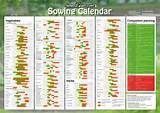 Images of Vegetable Garden Maintenance Schedule