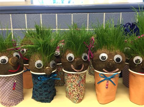 Grass Heads Made By My Year 2 Kids Steps 1 Pour Grass Seeds Into A