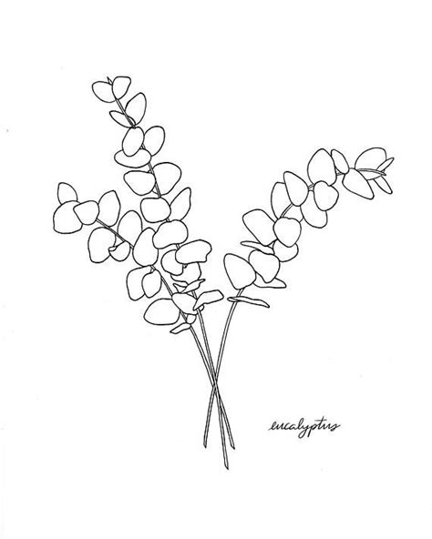 Eucalyptus Print Eucalyptus Branch Ink Botanical Print Illustration