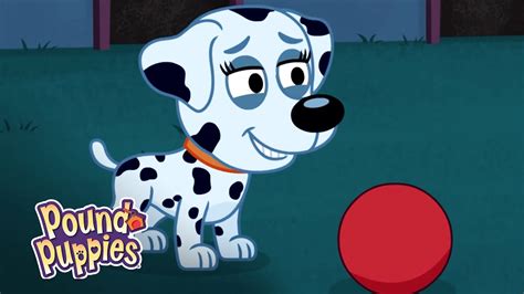 The pound puppies try and find a home for niblet 's little sister(who is also the episode's titular character), rebound , the most energetic puppy they've ever seen. Pound Puppies - Roxie Meets Molly - YouTube