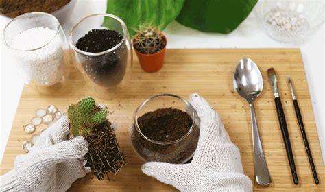 Placing a block next to a cactus block will cause that cactus to break along with any other cactus blocks on top of it. How to make a terrarium in Singapore: Terrarium workshops ...
