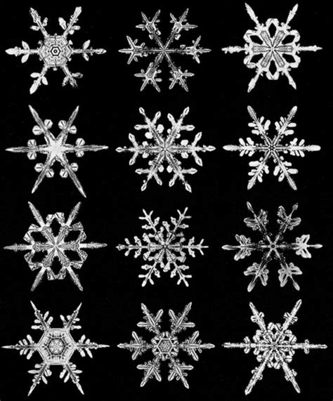 The Haunting Beauty Of Snowflakes Wilson Bentleys Pioneering 19th