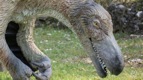 Este Es El Aspecto Real De Los Velociraptores Youtube