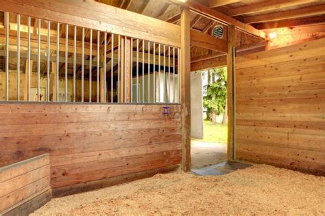 Down N Dirty Horse Barn Cleaning Tips