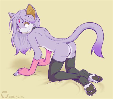 Rule 34 All Fours Anthro Ass Blaze The Cat Breasts Cat Charisma