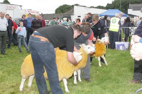 Agricultural Show In The West Of Ireland Enters Its 113th Year