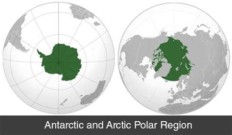 35 Polar Climate Facts For Kids 2024 With Pictures