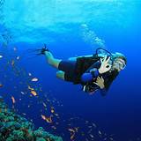 Photos of All Inclusive Scuba Vacation Packages