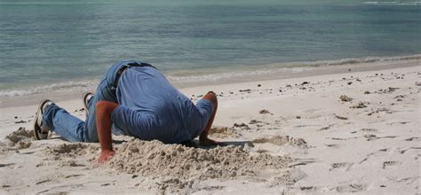 Dont Put Your Head In The Sand With Yahoo Business 2 Community